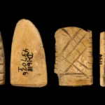 Os antigos dados ósseos desvendam 12.000 anos de apostas na América