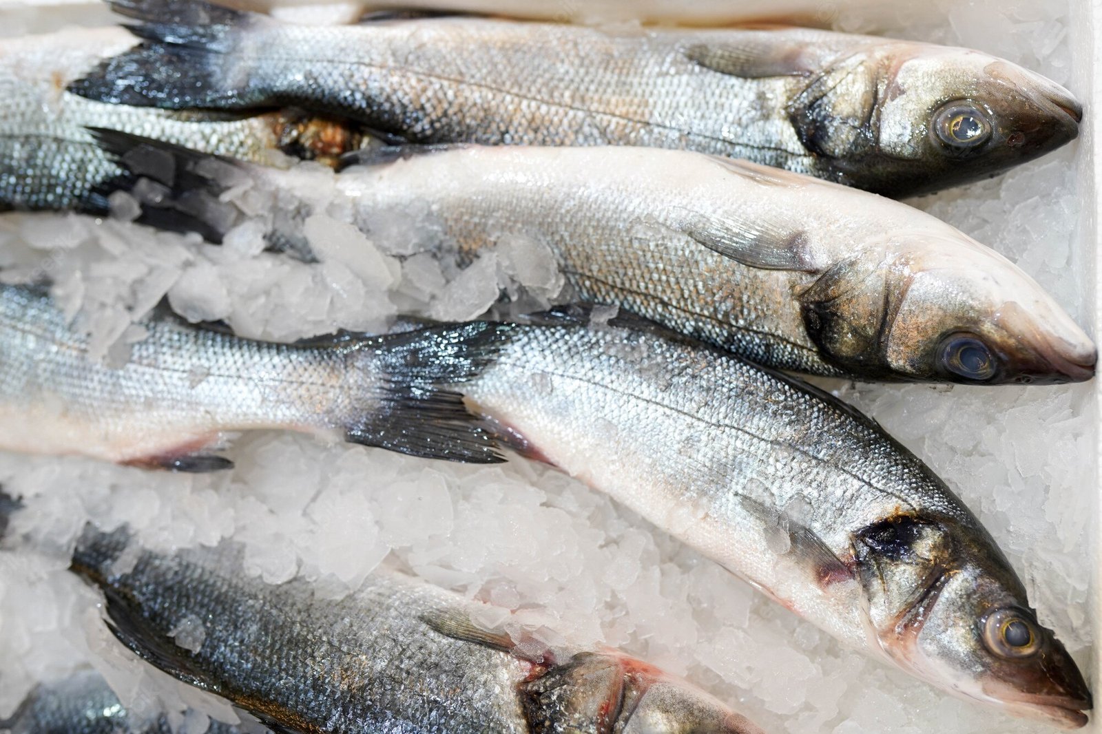 Intoxicação em pescado congelado: Este descuido caseiro pode ser mortal, alertam profissionais