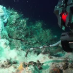 Cientistas surpreendidos por um enorme campo hidrotermal na Grécia