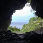 Lobos antigos poderiam ter chegado a esta ilha de barco.