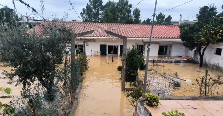 “Existem falecimentos devido ao órgão não aderir à norma”