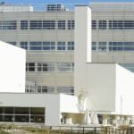 Quer incorporar a Inteligência Artifical na abordagem da sua empresa? Descubra este curso