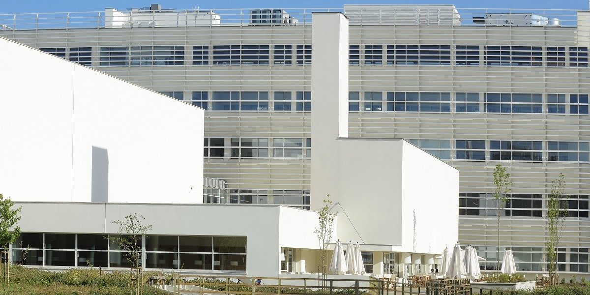 Quer incorporar a Inteligência Artifical na abordagem da sua empresa? Descubra este curso