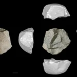 Humanos da Idade do Gelo na China produziram ferramentas de pedra surpreendentemente sofisticadas há 146.000 anos.