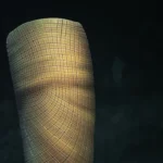 Cientistas desvendam um enigma fóssil de 160 milhões de anos “Nunca testemunhei algo semelhante”
