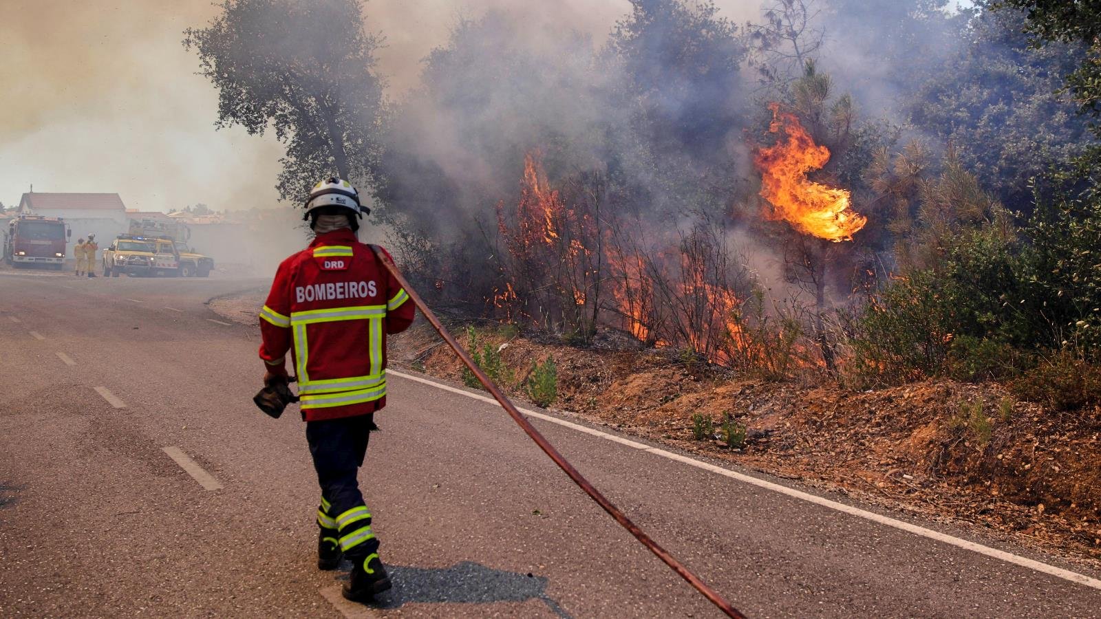 Fogo: Seia registra seis residências de veraneio consumidas e prossegue análise de danos