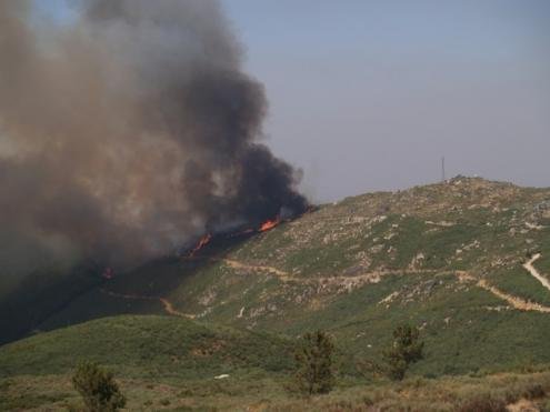 Incêndios: Pampilhosa da Serra realiza encontros para avaliar danos